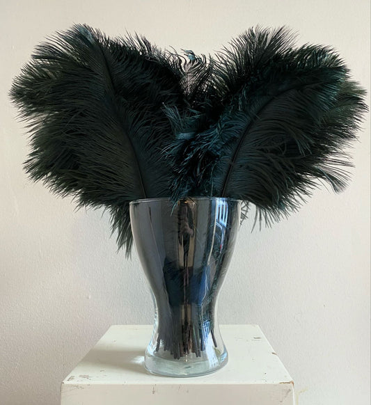 Dark green ostrich feathers