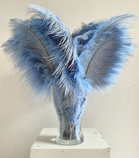 Dove blue ostrich feather
