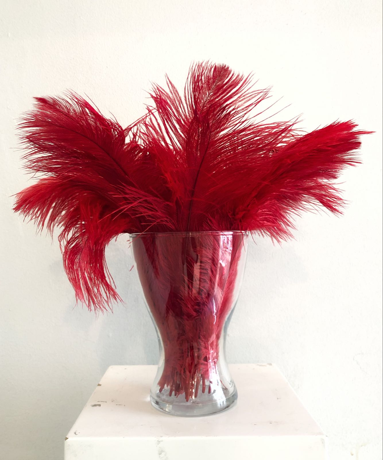 Red ostrich feathers