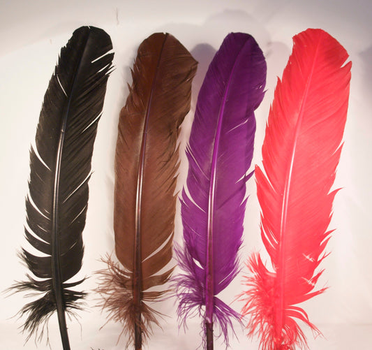 Colored turkey feathers