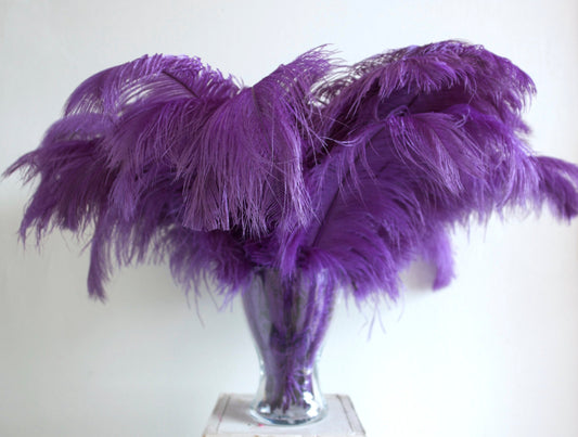 Purple ostrich feather