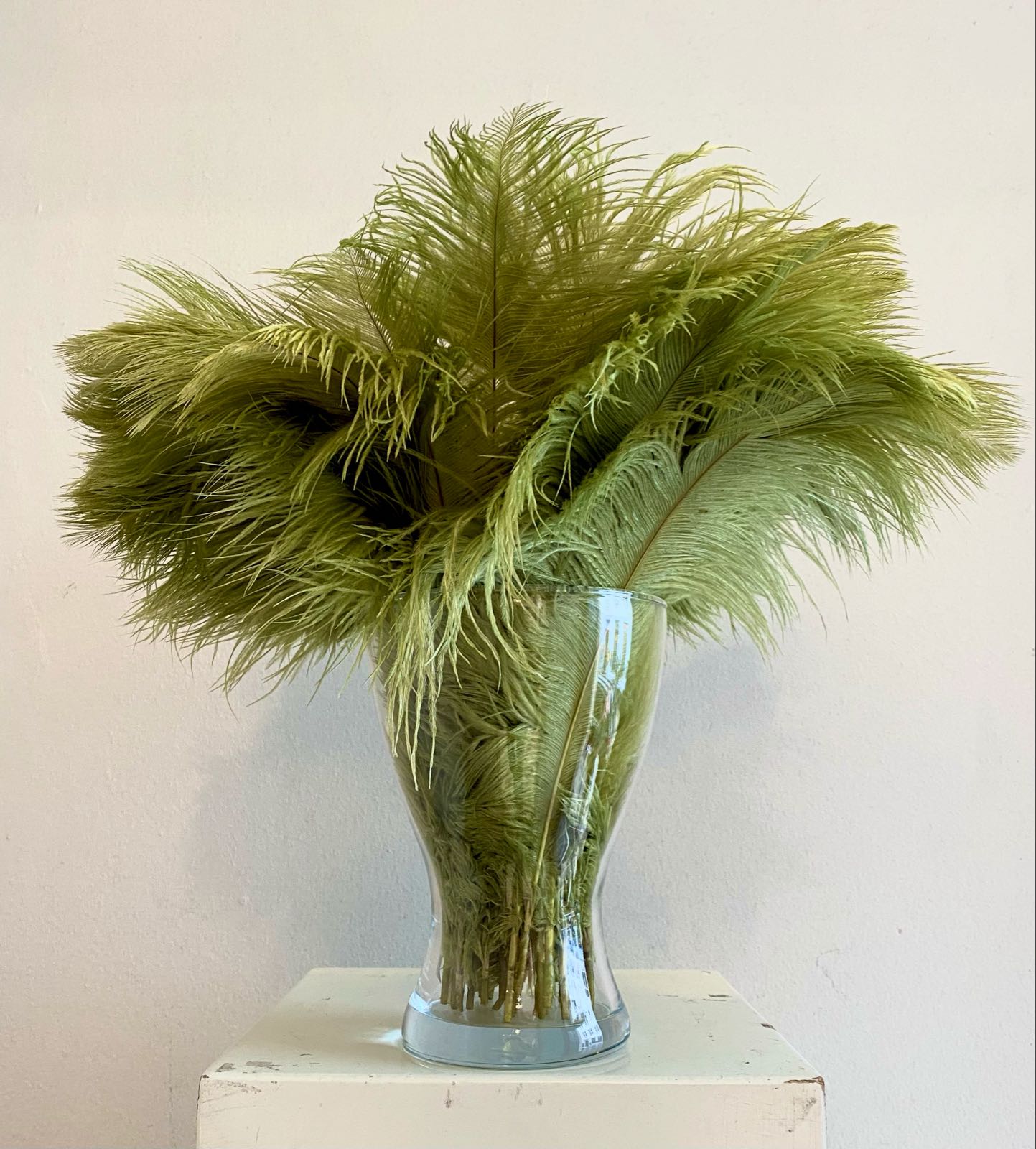 Light olive ostrich feather