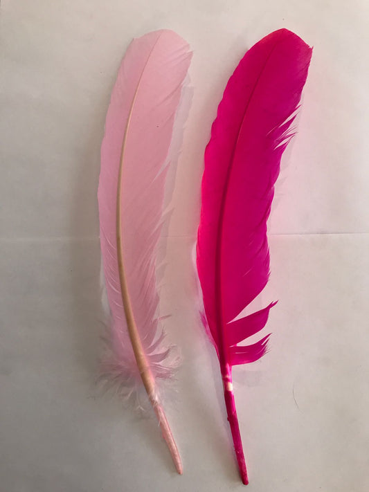 Colored turkey feathers