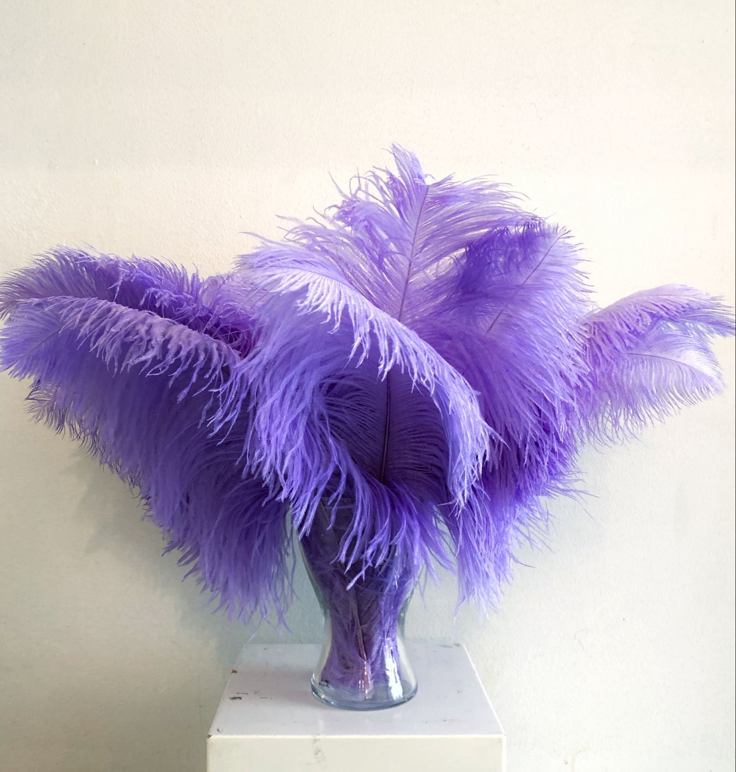 Lavender ostrich feather