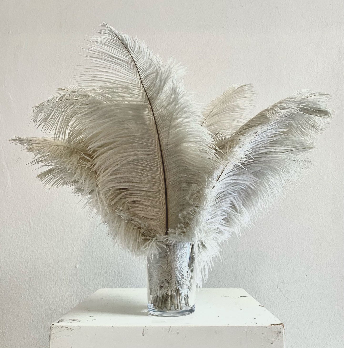 Kit gray ostrich feather