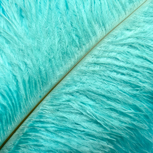 Aqua ostrich feather