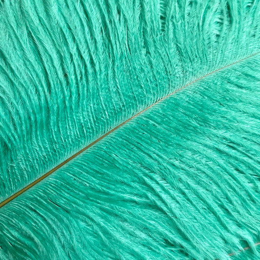 Jade green ostrich feathers