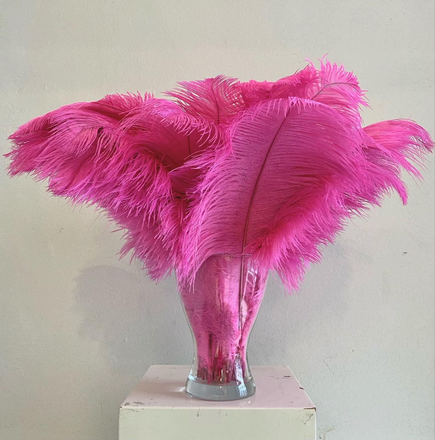 Pink ostrich feather