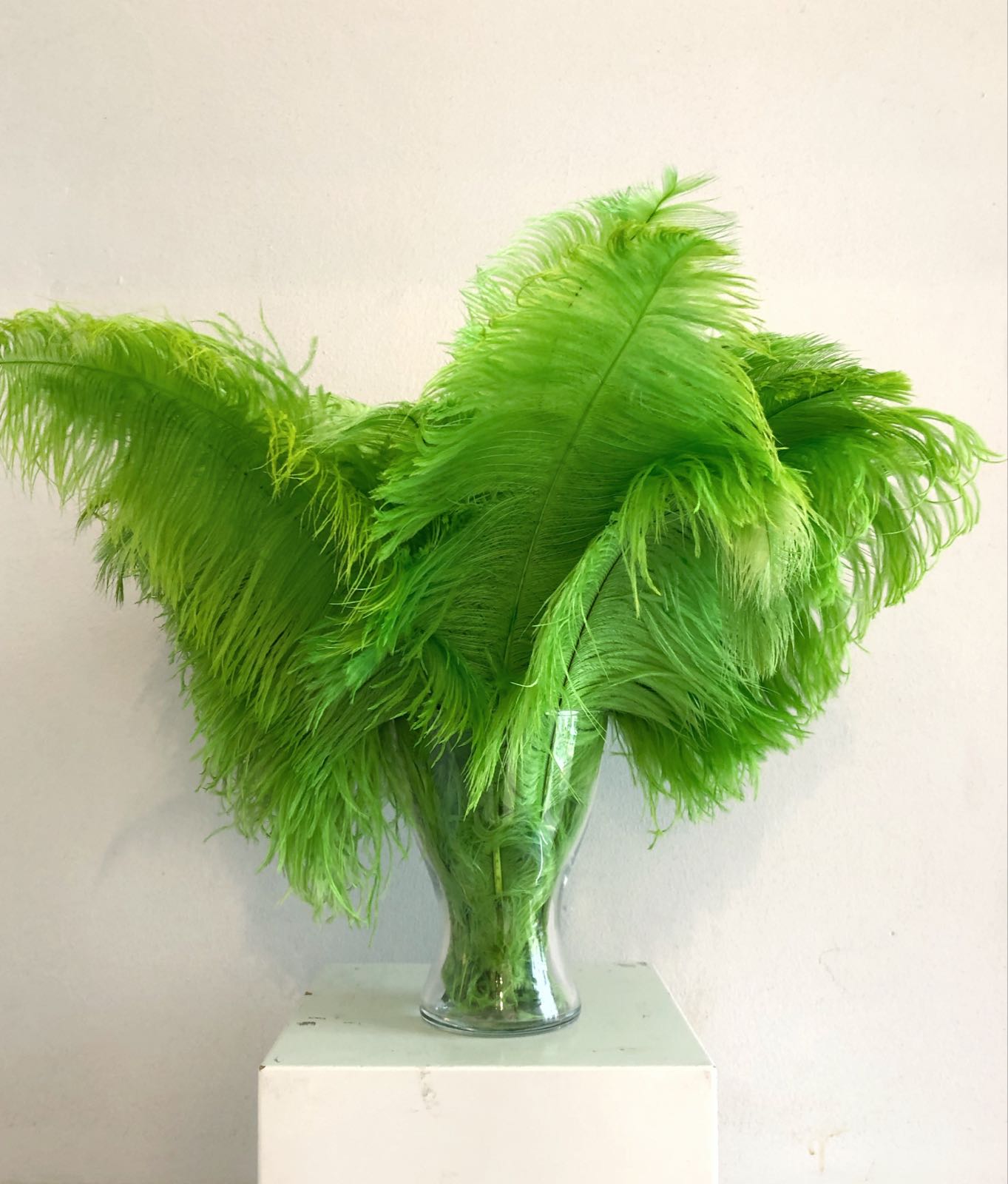Green ostrich feathers